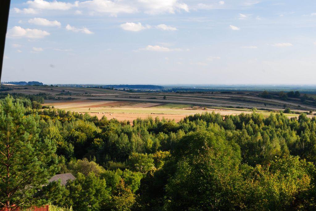 Polana